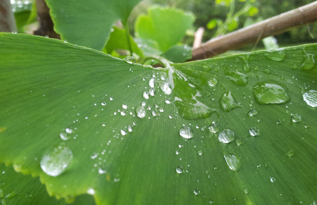 在线DDOS压力测试网页端